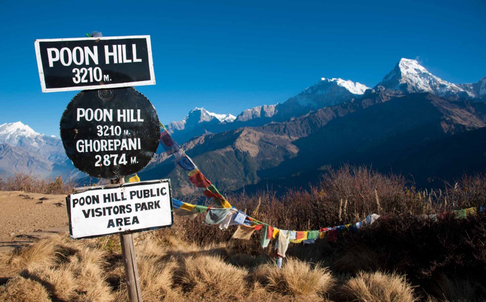 Poon Hill viewpoint sign at 3,210 m with prayer flags and Annapurna South behind