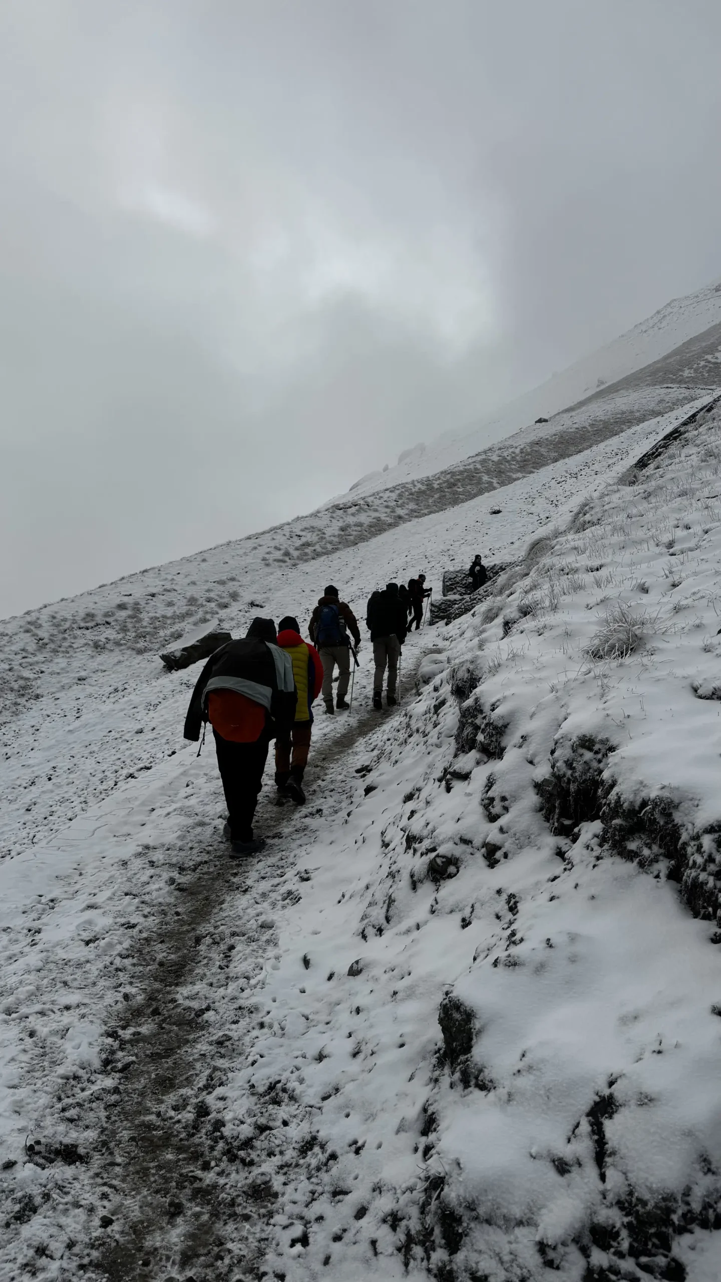 Trekkers climbing a snowy trail in falling snow