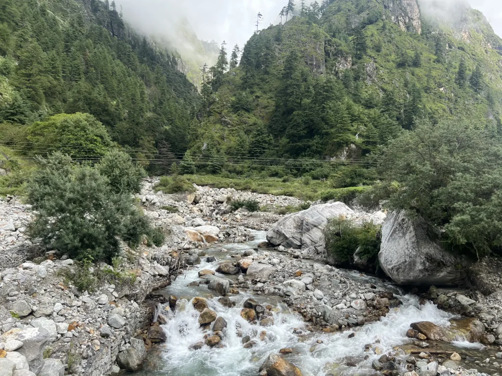 Budhi Gandaki river flowing through forest on the Manaslu Circuit