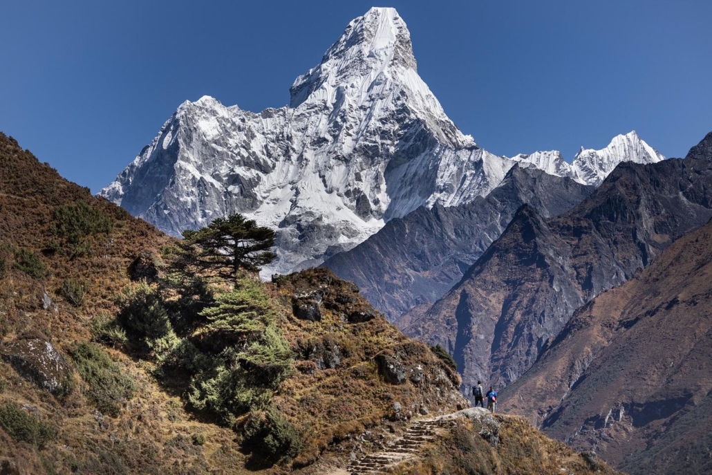 Ama Dablam above pine-covered ridges in the Khumbu