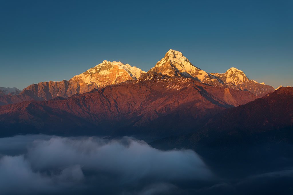 Annapurna South and Hiunchuli glowing at sunrise above the clouds