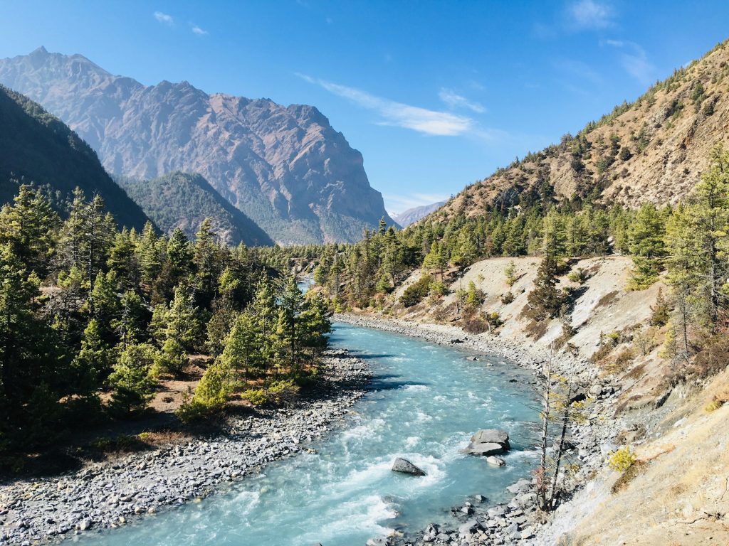 Turquoise river rushing through a pine-forested valley below rocky cliffs in the Annapurna region