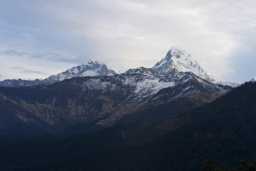 Snow-capped peaks rising above dark forested slopes under a pale sky in the Annapurna region