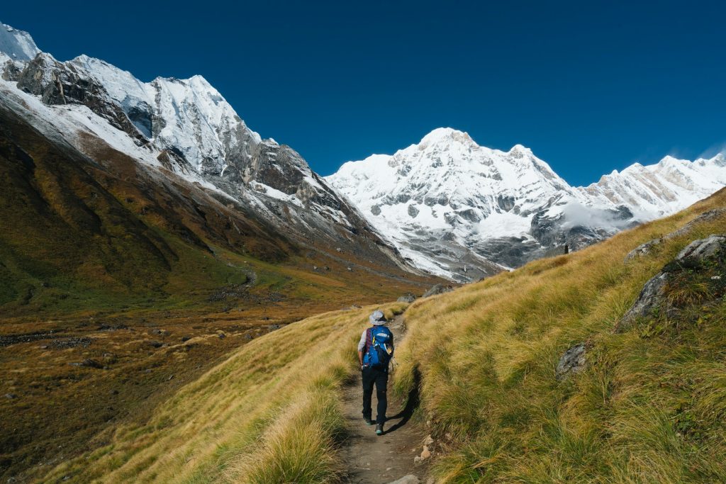 Trekker with a blue backpack walking a grassy trail towards snowy peaks in the Annapurna region