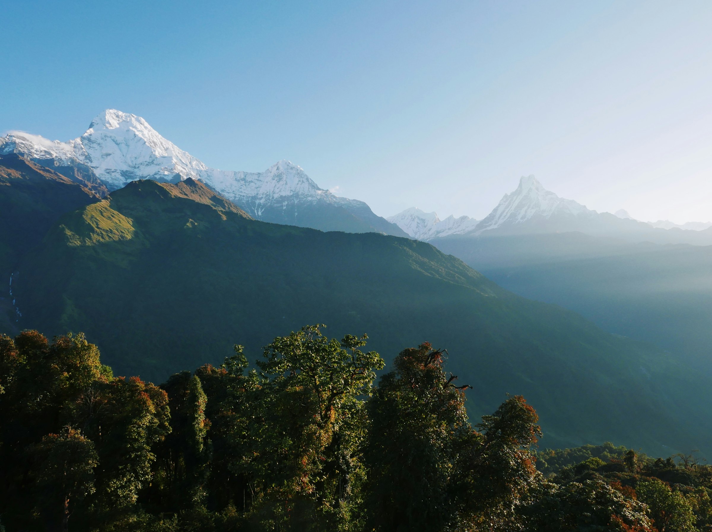 Forested ridges in morning haze below snowy Annapurna peaks and the fishtail summit of Machhapuchhre