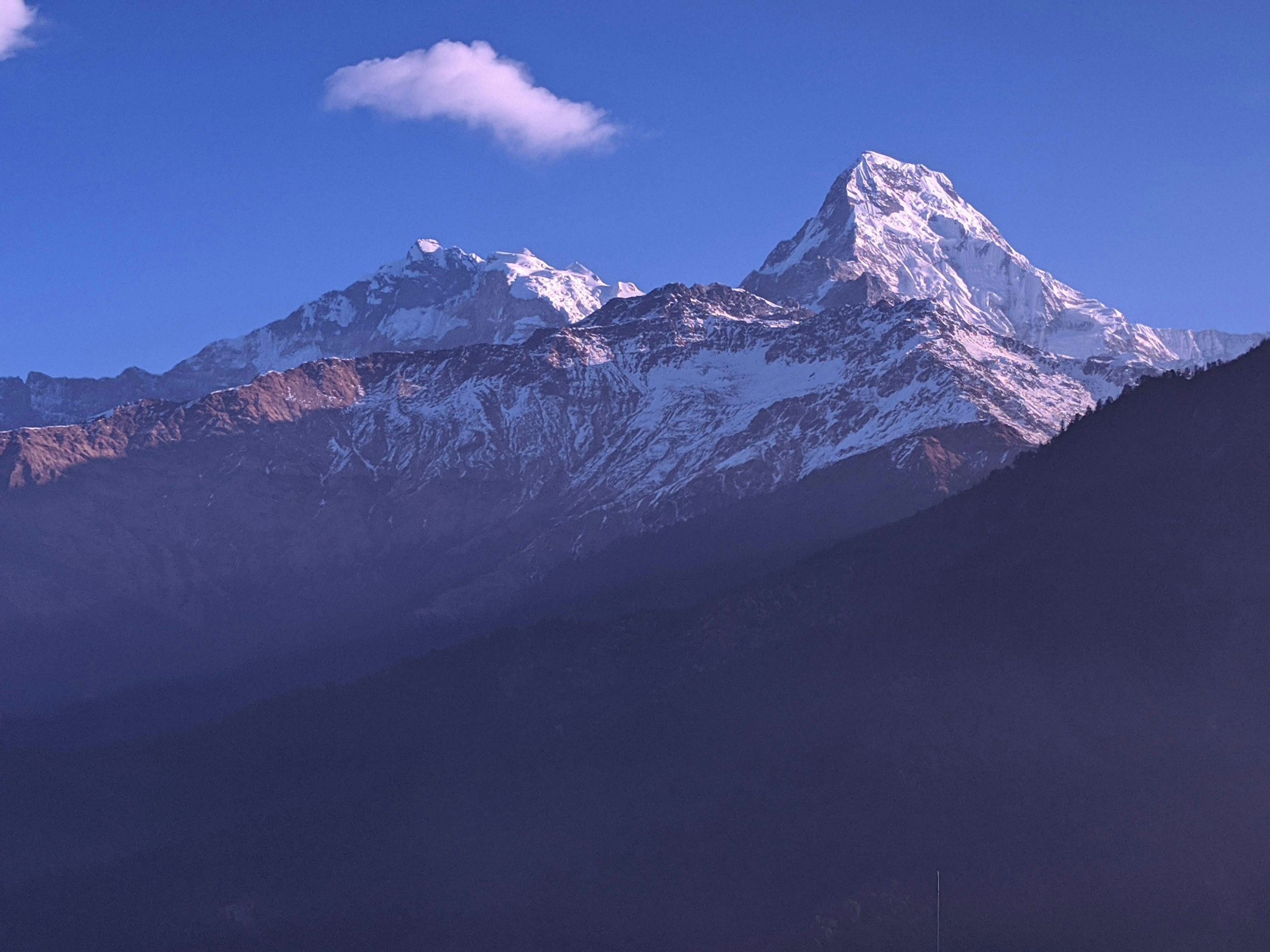 Snow-capped Annapurna peaks tinged pink at dawn above dark forested foothills under a blue sky