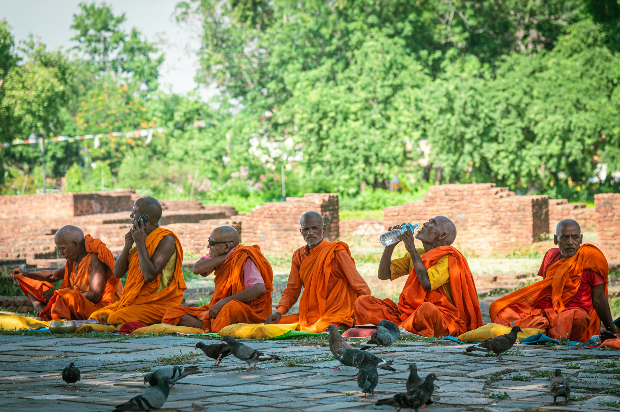 Monks in saffron robes sitting among pigeons beside ancient brick ruins at Lumbini