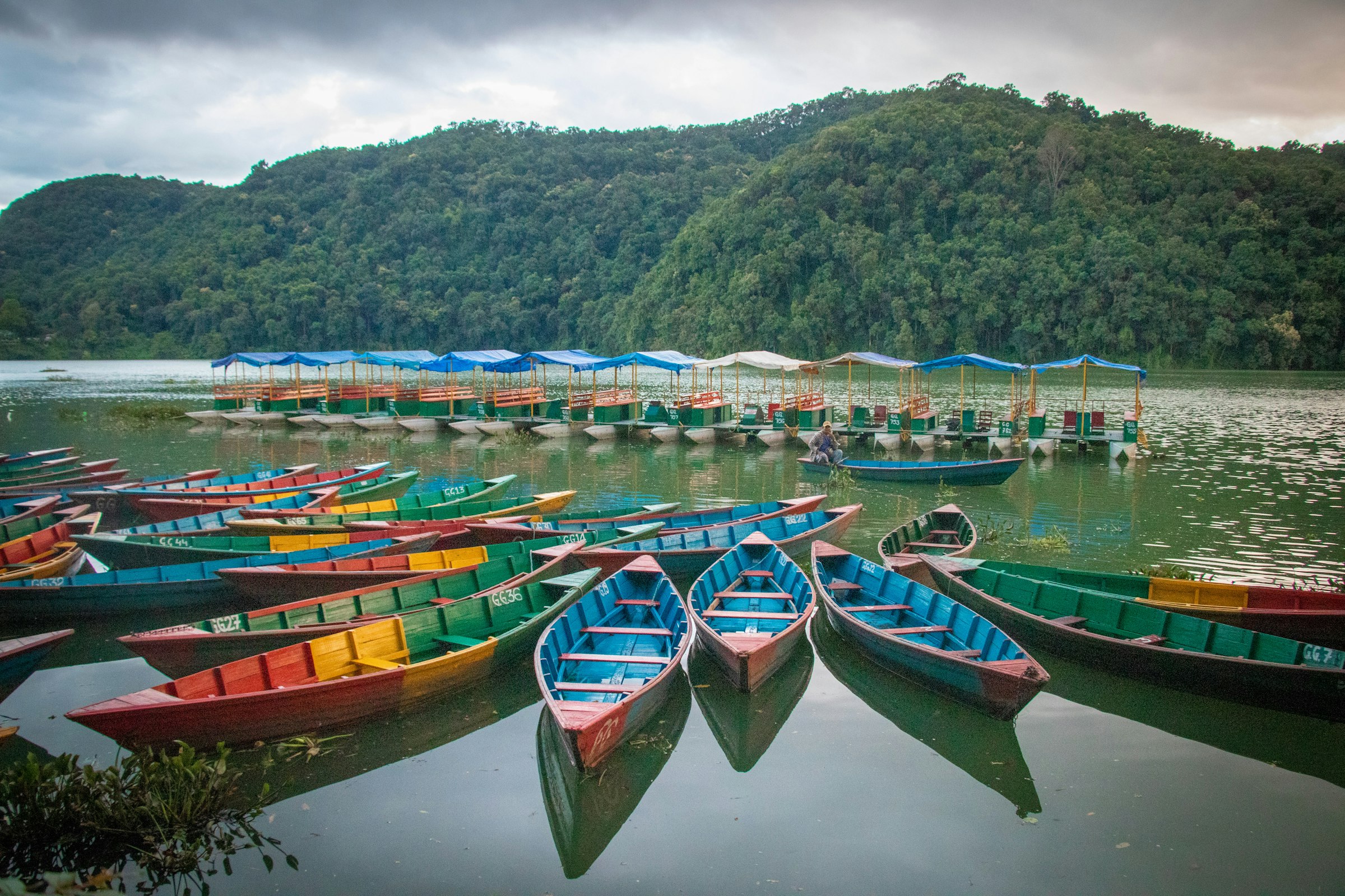 Colourful wooden rowing boats moored on Phewa Lake below a forested hill in Pokhara