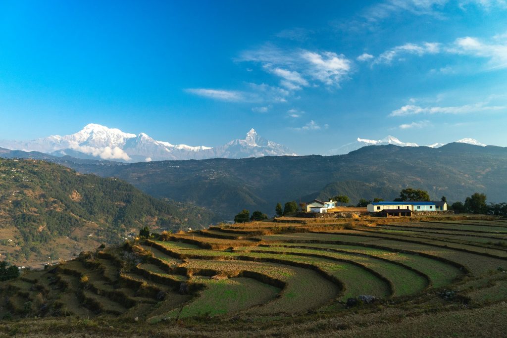Curving terraced fields and farmhouses on a hilltop with distant snowy peaks under blue sky