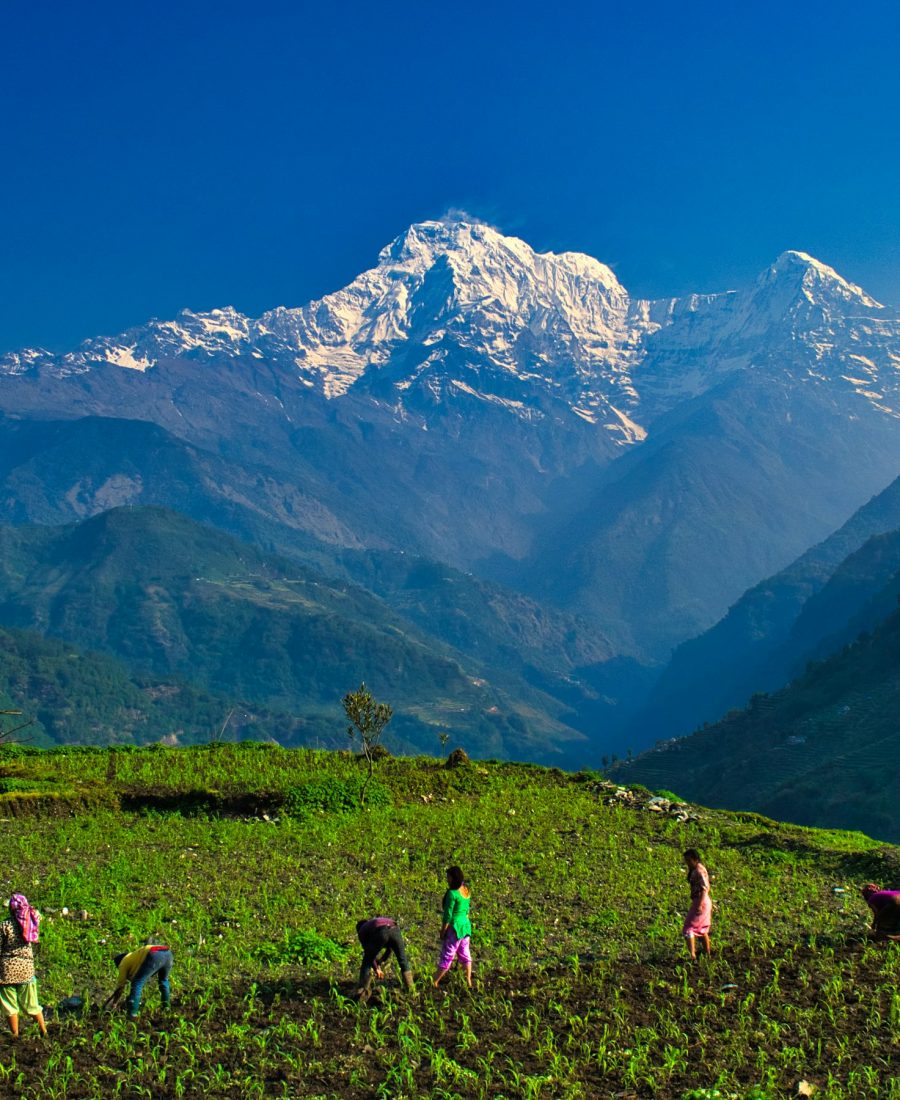 Ganesh Himal Base Camp Trek