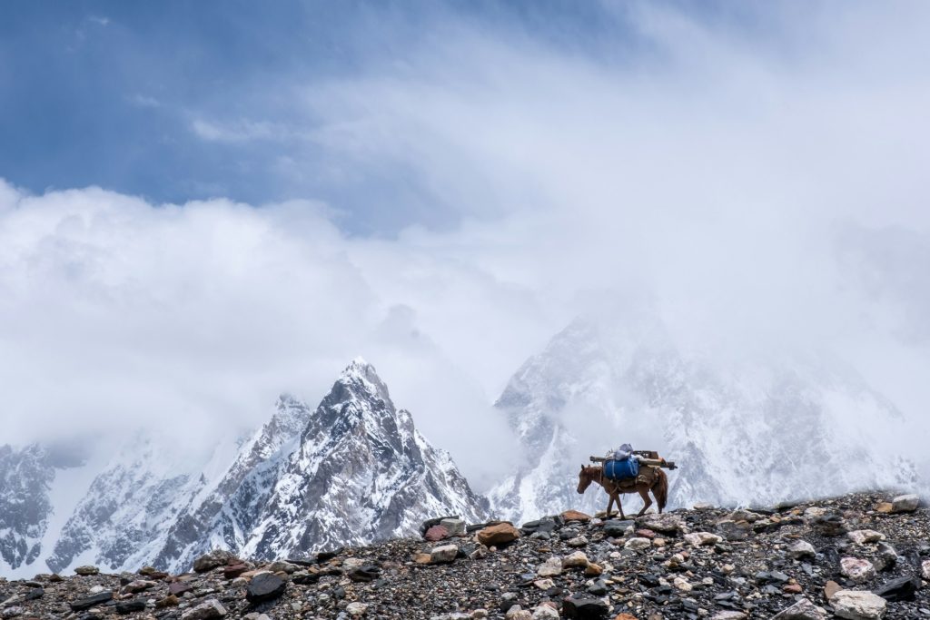 Pack mule carrying supplies along a rocky moraine below cloud-shrouded peaks in the Karakoram