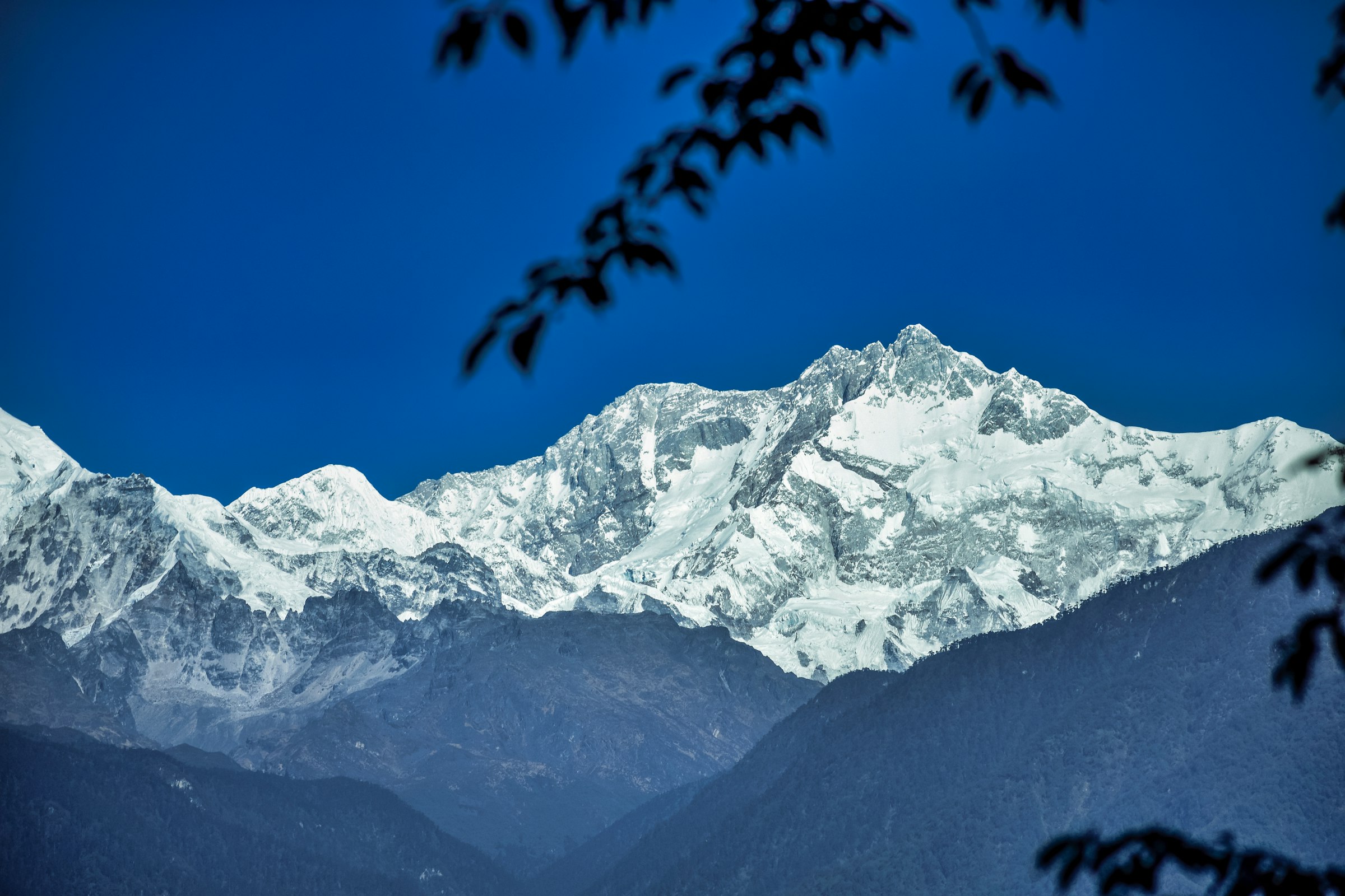 Broad snow-covered massif framed by tree branches above blue ridges in the Kangchenjunga region