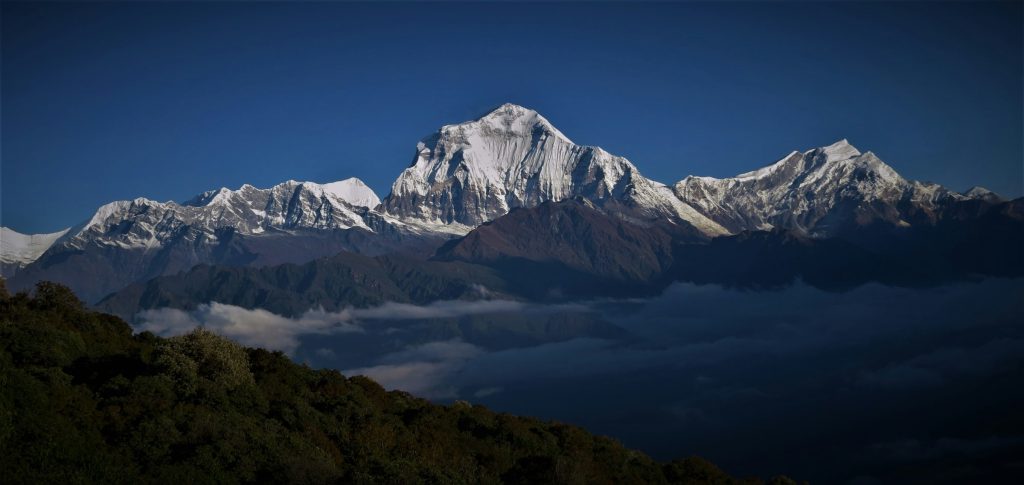 Snowy peaks rising above a layer of cloud beyond dark forested hills at dawn
