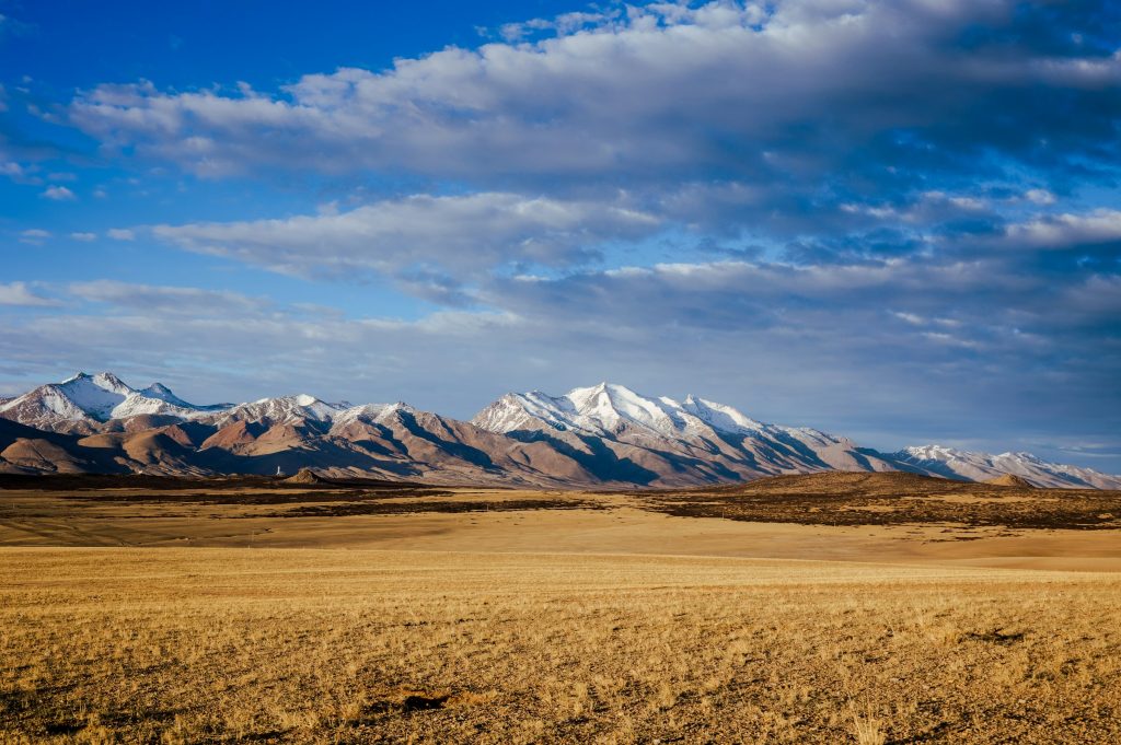 Golden grassland stretching to a range of snow-capped peaks under streaky cloud on the Tibetan plateau