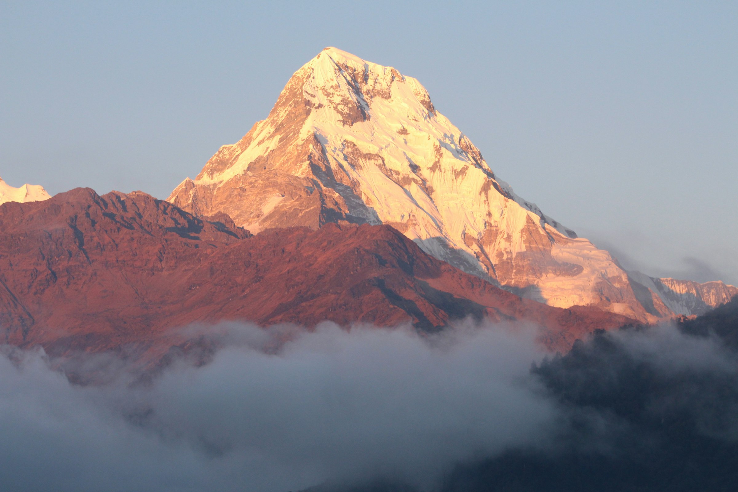 Snow-capped peak lit pink and gold at sunrise above a sea of cloud in the Annapurna region