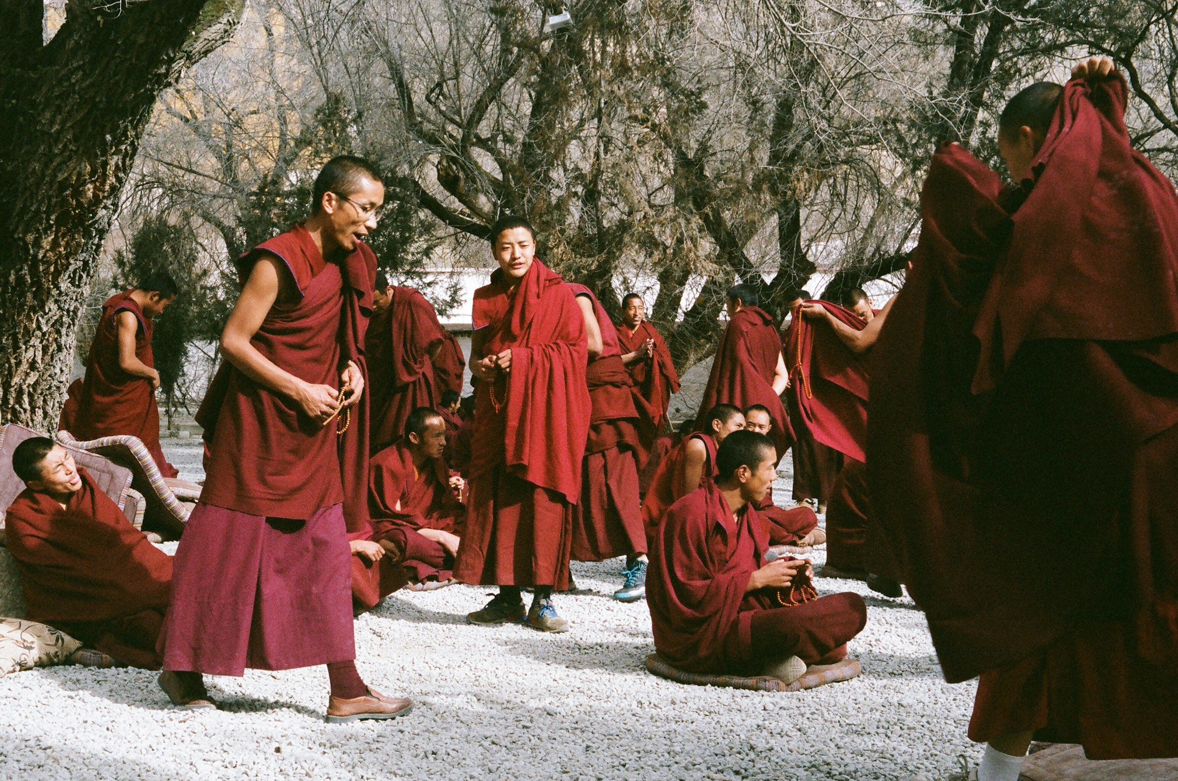 Tibetan monks in maroon robes debating in a gravel courtyard beneath bare trees