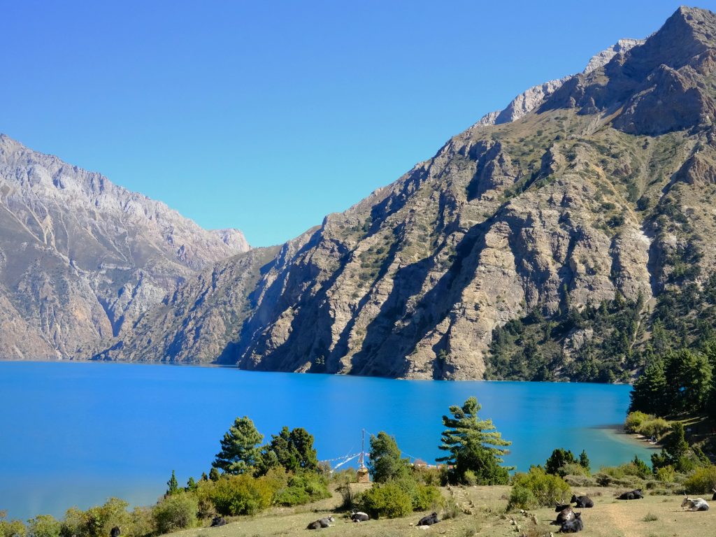 Vivid blue Phoksundo Lake framed by steep rocky mountains and pine trees in Dolpo